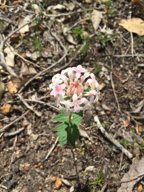 Eagle Bay House - Hotel WA 35