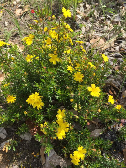 Eagle Bay House - Hotel WA 6