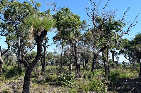 Eagle Bay House - Hotel WA 33