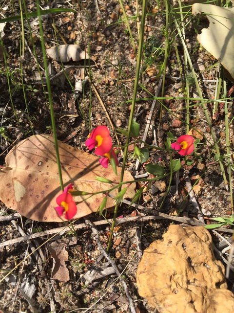 Eagle Bay House - Hotel WA 34