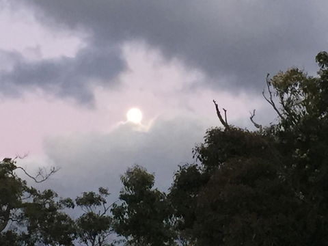 Eagle Bay House - Hotel WA 17