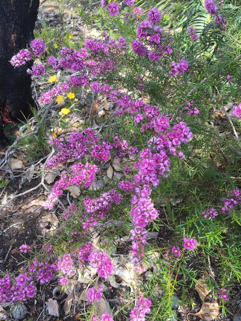 Eagle Bay House - Hotel WA 1