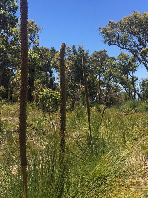 Eagle Bay House - Hotel WA 15