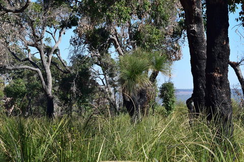 Eagle Bay House - Hotel WA 32