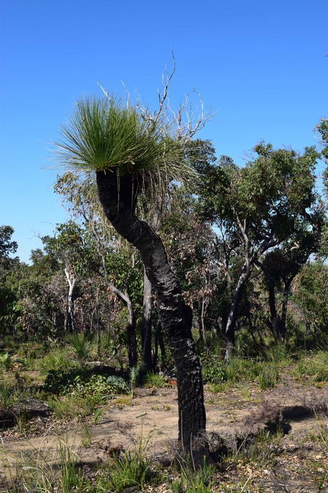 Eagle Bay House - Hotel WA 36