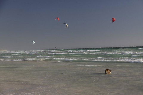 Dongara Tourist Park - Hotel WA 33