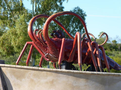 Leander Reef Holiday Park - Hotel WA 4