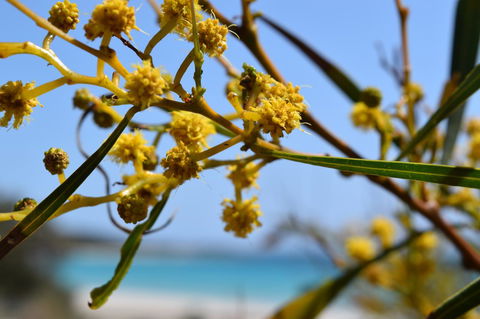 Eagle Bay House - Hotel WA 12