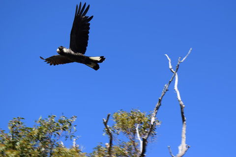 Eagle Bay House - Hotel WA 20