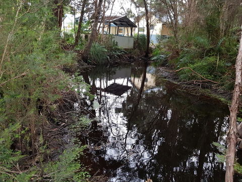 Strahan Retreat Holiday Park - Hotel WA 33