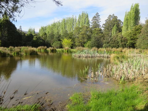 Giants Table And Cottages - Hotel WA 25