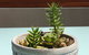 Sandy Bay Studio Apartment - thumb 13