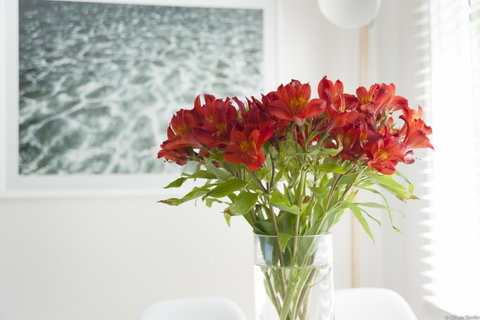 On The Beach Waterfront Apartment - Hotel WA 0