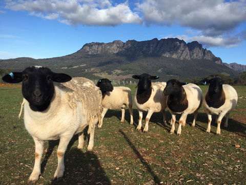 Manna Hill Farm - Hotel WA 28