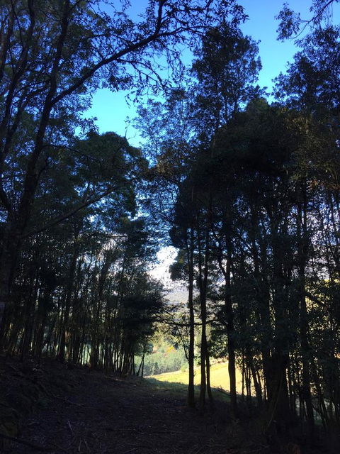 Manna Hill Farm - Hotel WA 27
