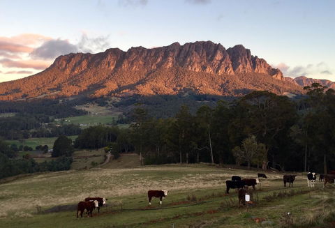 Manna Hill Farm - Hotel WA 10