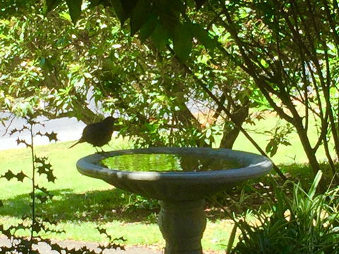 Wandering Geese Boutique Bed And Breakfast - Hotel WA 19