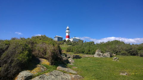 BIG4 Low Head Tourist Park - Hotel WA 6