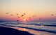 Kingston Beach-House Retreat - thumb 18