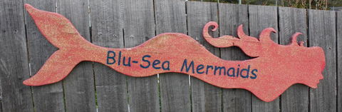 Mermaids Of Bicheno - Hotel WA 16