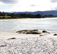 Mermaids of Bicheno - Hotel WA