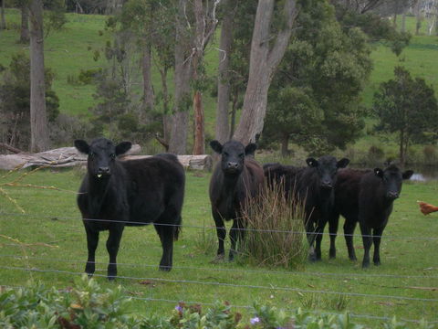 Platypus Park Country Retreat - Hotel WA 25