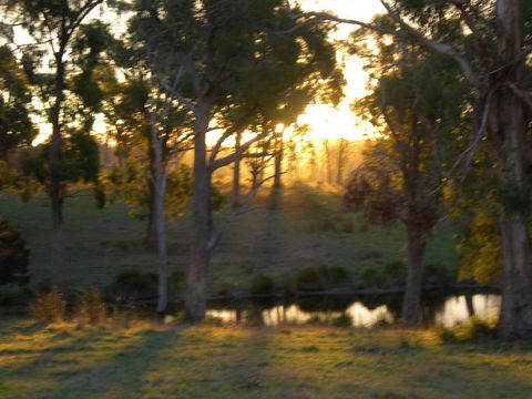 Platypus Park Country Retreat - Hotel WA 30