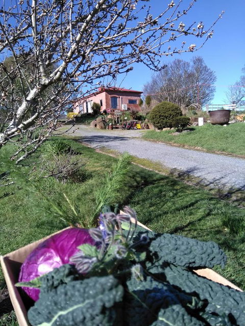 Cherry Top Farmstay - Boutique Eco Village - Hotel WA 23