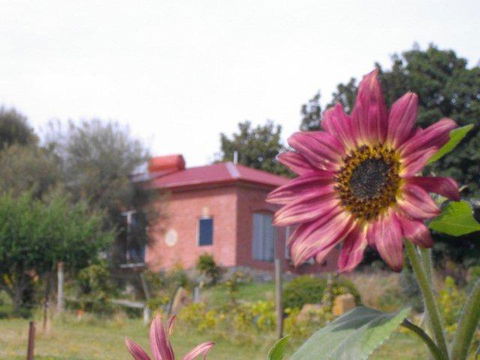Cherry Top Farmstay - Boutique Eco Village - Hotel WA 27