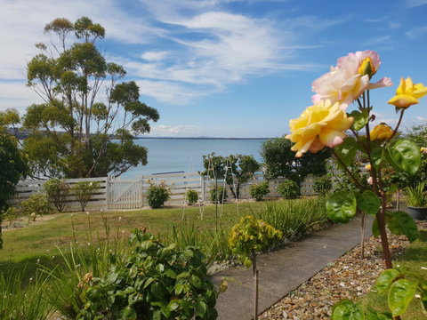 Garden By The Beach - Gateway To The East Coast, Close To Airport - Hotel WA 23