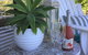 Garden By The Beach - Gateway To The East Coast, Close To Airport - thumb 15