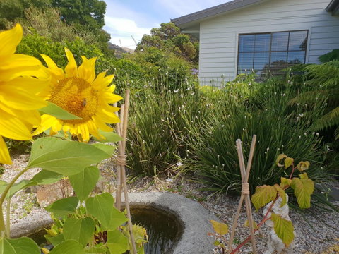 Garden By The Beach - Gateway To The East Coast, Close To Airport - Hotel WA 13