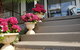 Garden By The Beach - Gateway To The East Coast, Close To Airport - thumb 8