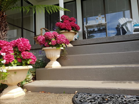 Garden By The Beach - Gateway To The East Coast, Close To Airport - Hotel WA 8