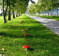 Plovers Ridge Country Retreat