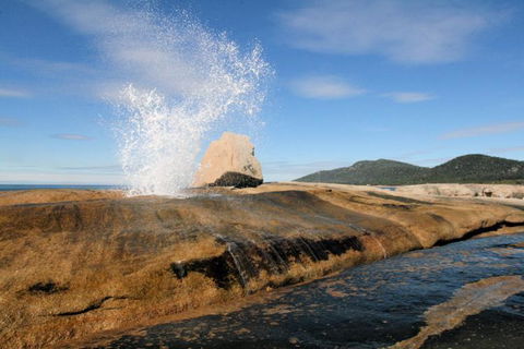 Suntrap Cove Bicheno - Hotel WA 30