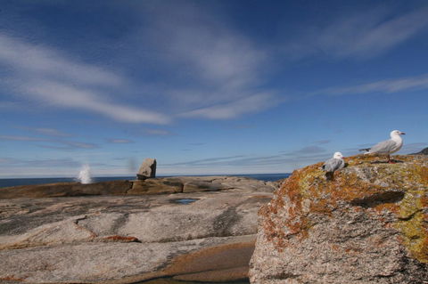 Suntrap Cove Bicheno - Hotel WA 37