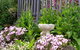 Post House Cottage - thumb 19