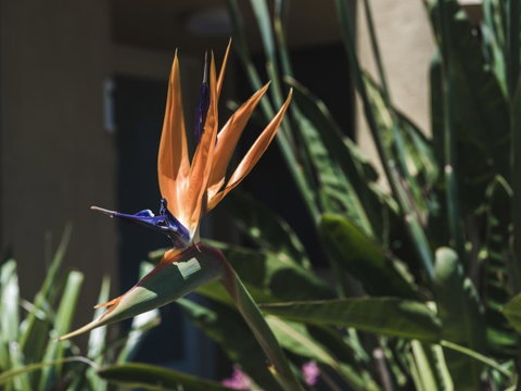 Russell House - Hotel WA 2
