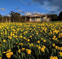 Mountain Blue Guest House - Hotel WA