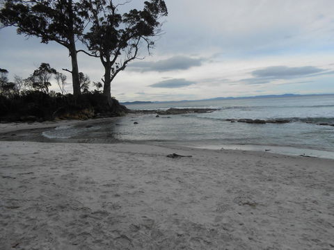 Bruny Ocean Cottage - Hotel WA 7