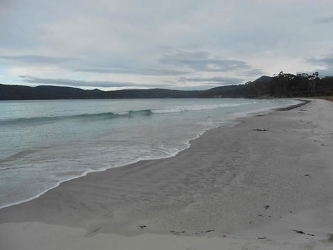 Bruny Ocean Cottage - Hotel WA 11