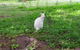 Bruny Ocean Cottage - thumb 9