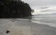 Bruny Ocean Cottage - thumb 17