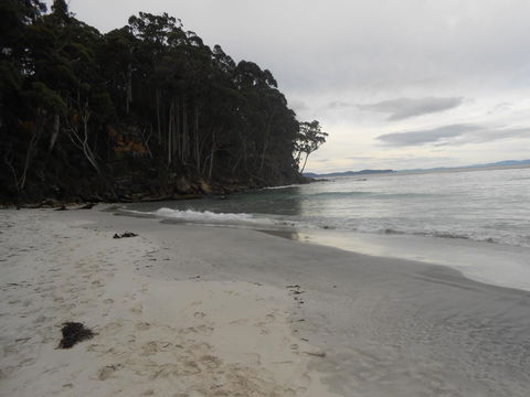 Bruny Ocean Cottage - Hotel WA 17