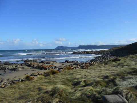 Bruny Ocean Cottage - Hotel WA 15