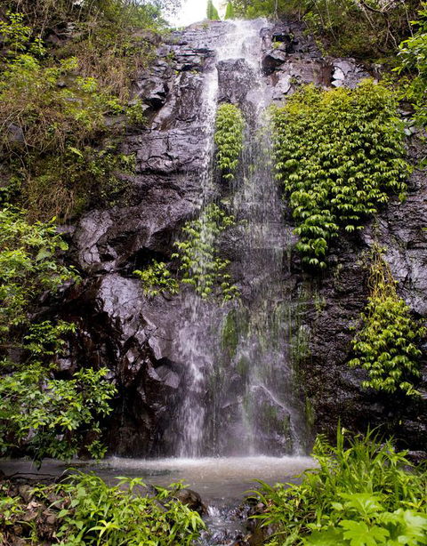 Nimbin Waterfall Retreat - Hotel WA 3