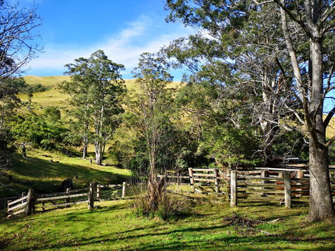 Nirvana Spiritual Retreat - Hotel WA 2