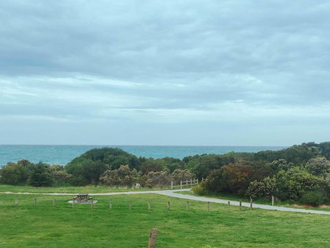 ODYSSEY APOLLO BAY - Hotel WA 2