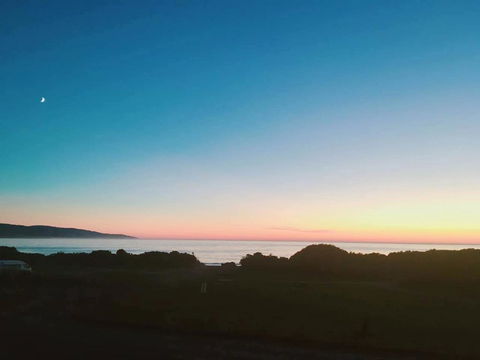 ODYSSEY APOLLO BAY - Hotel WA 1